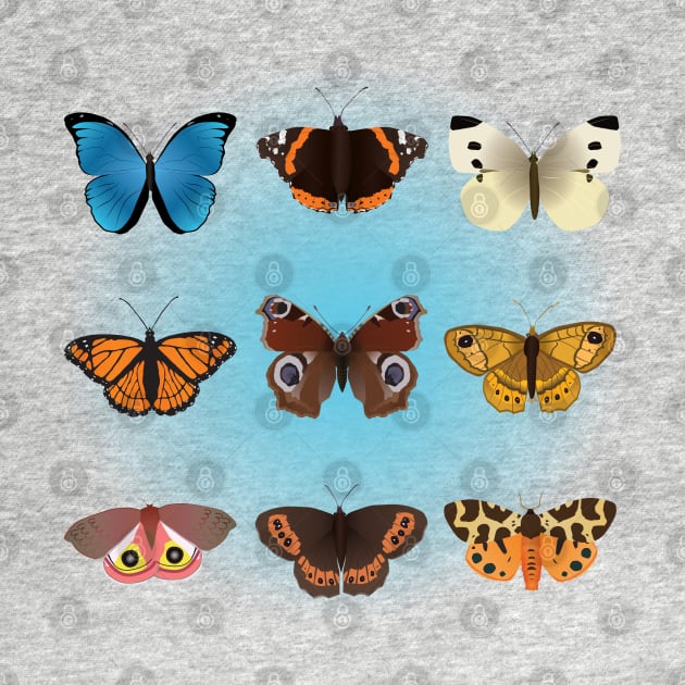 A collection of nine butterflies by Bwiselizzy